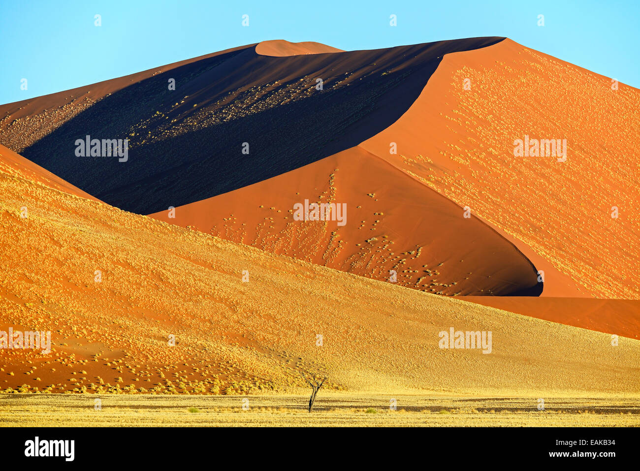 Riesigen Sanddünen am Abend Licht, Sossusvlei, Namib-Wüste Namib Naukluft Park, Namibia Stockfoto