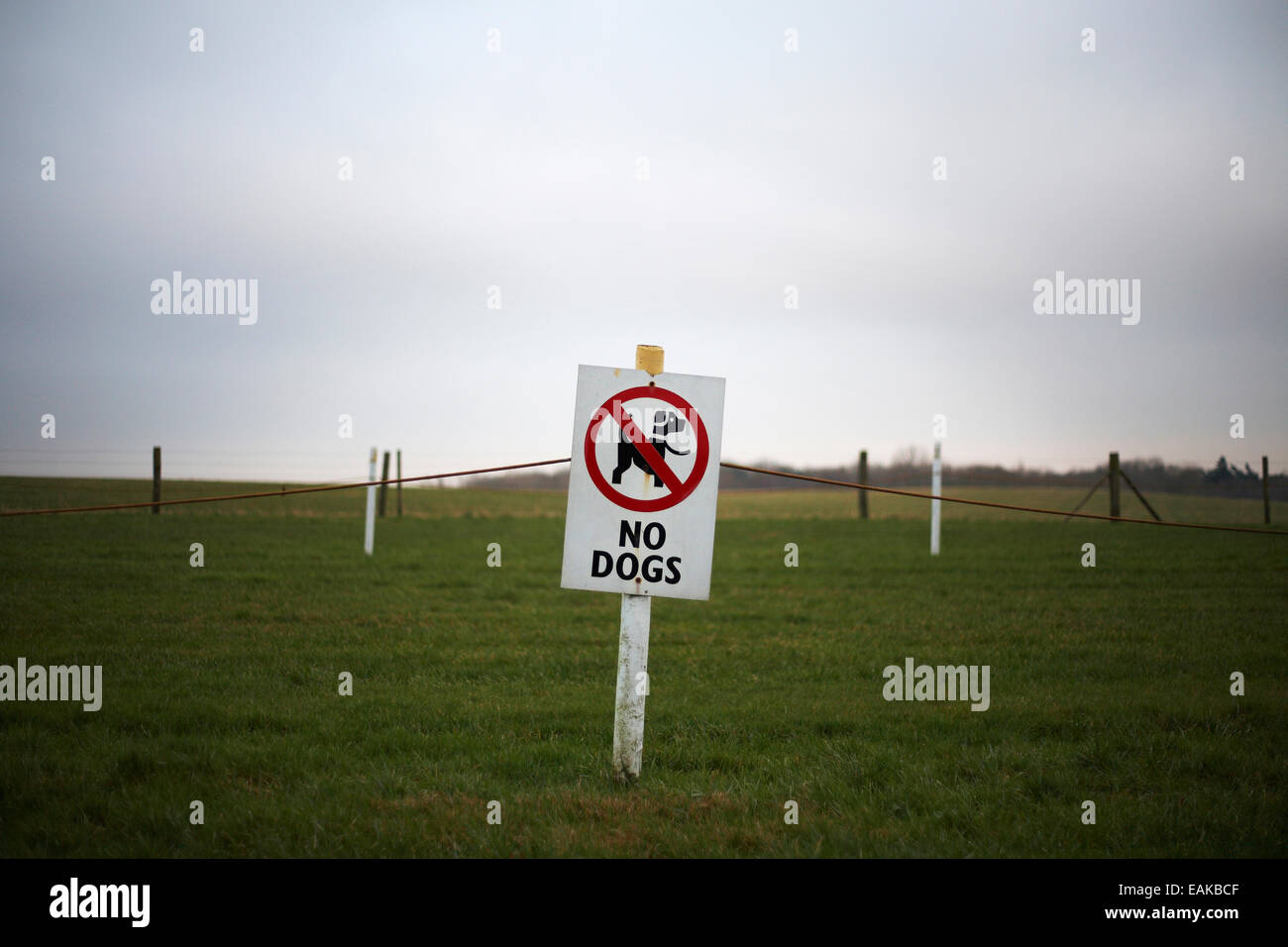 Keine Hunde-Zeichen in einem Feld, Reiseziel, park Stockfoto