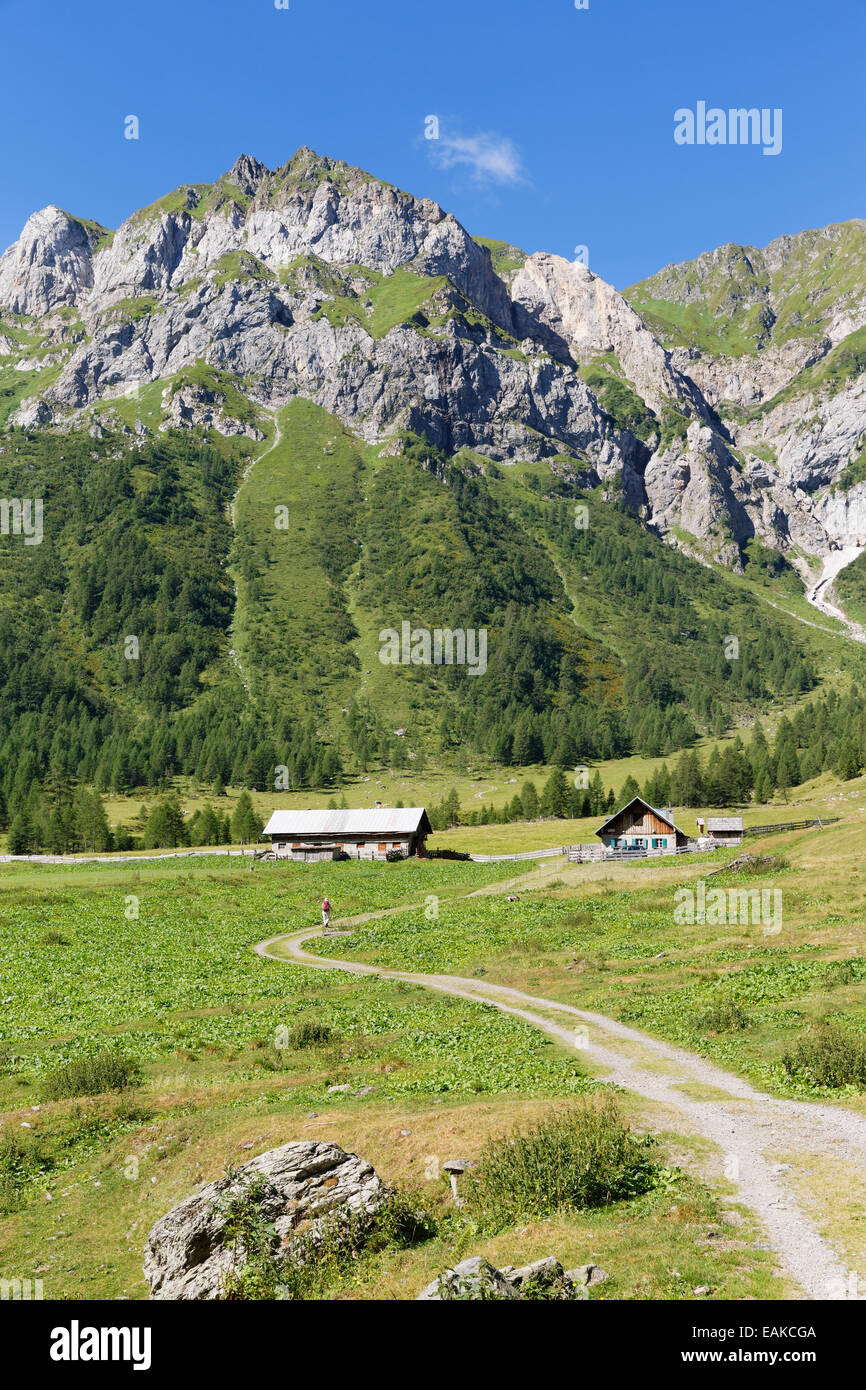 Ingridalm Alm in Frohnbach Tal, Karnischen Alpen, Lesachtal, Bezirk Hermagor, Kärnten, Österreich Stockfoto
