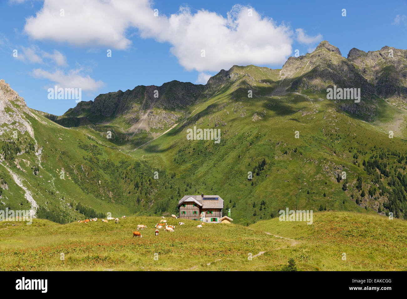 Hochweisssteinhaus Berghütte, Zwoelferspitz Berg auf der rechten Seite, Karnische Alpen, Österreich, Lesachtal, Bezirk Hermagor Stockfoto