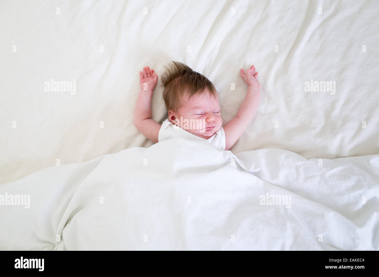 Kleine vier Wochen altes neugeborenes Mädchen schlafen in einem großen Bett Stockfoto