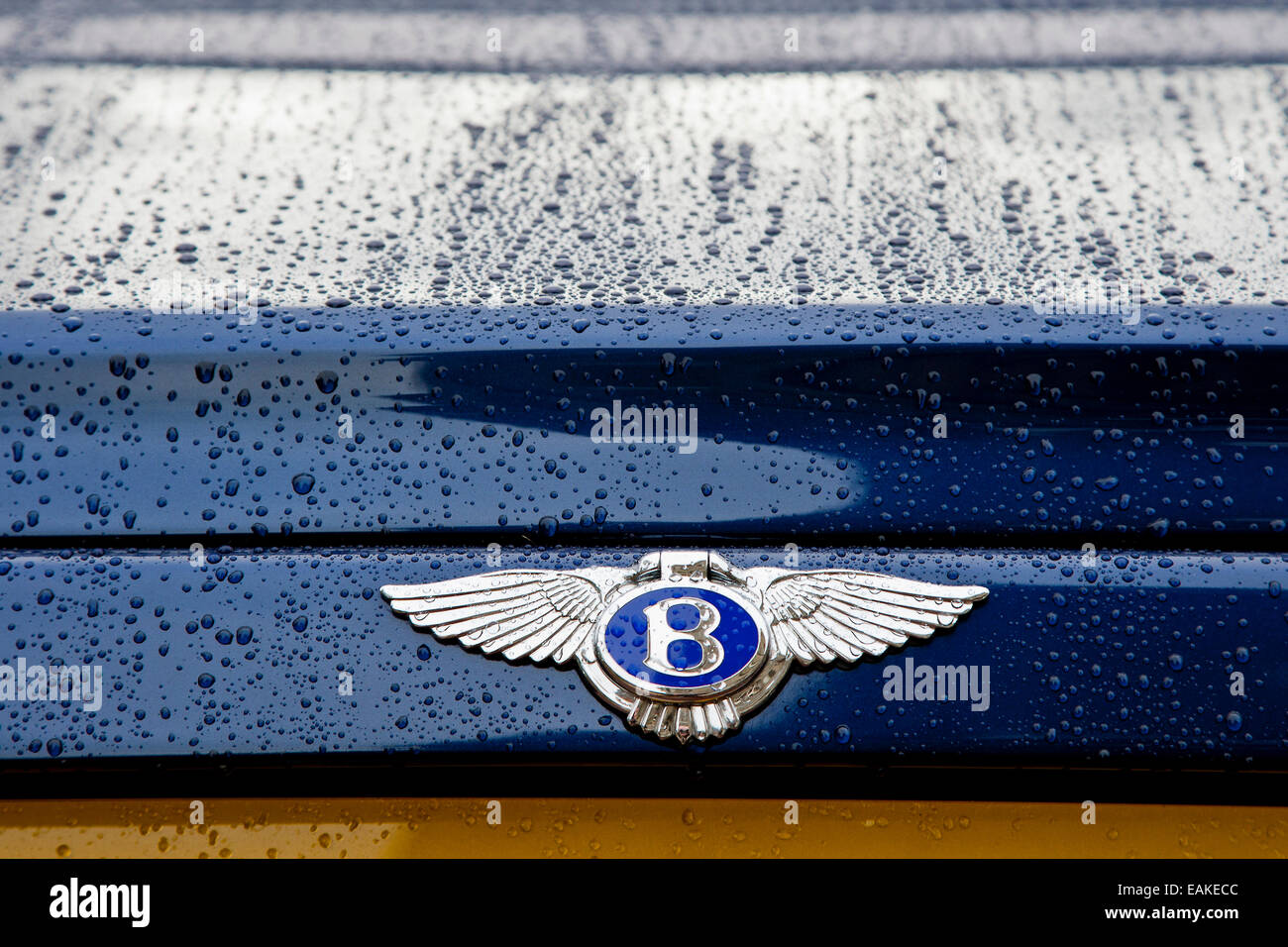 Das legendäre Abzeichen der Bentley Automiobile Marke abgebildet im Regen Stockfoto