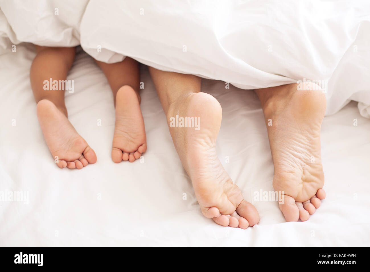 Erwachsenen und Baby Füße unter der weißen Decke. Stockfoto