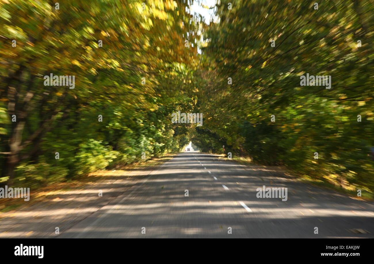 High-Speed-Verkehr auf der Autobahn-Herbst. Stockfoto