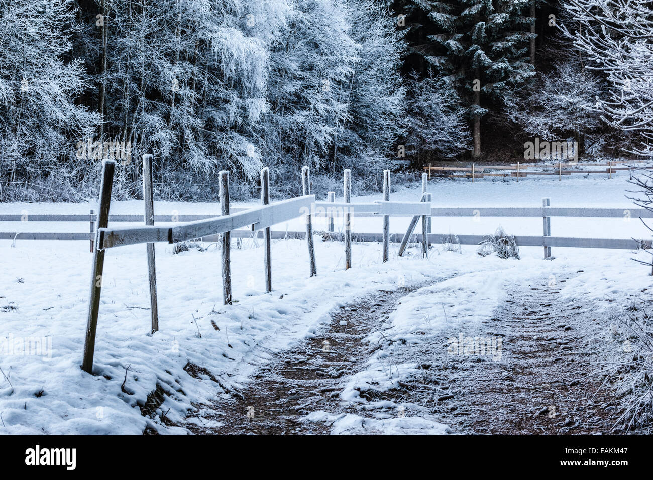 Raureif und einige Hütten im Wald bedeckt ein frostiger ländlichen Wanderweg mit einem Holzzaun Stockfoto