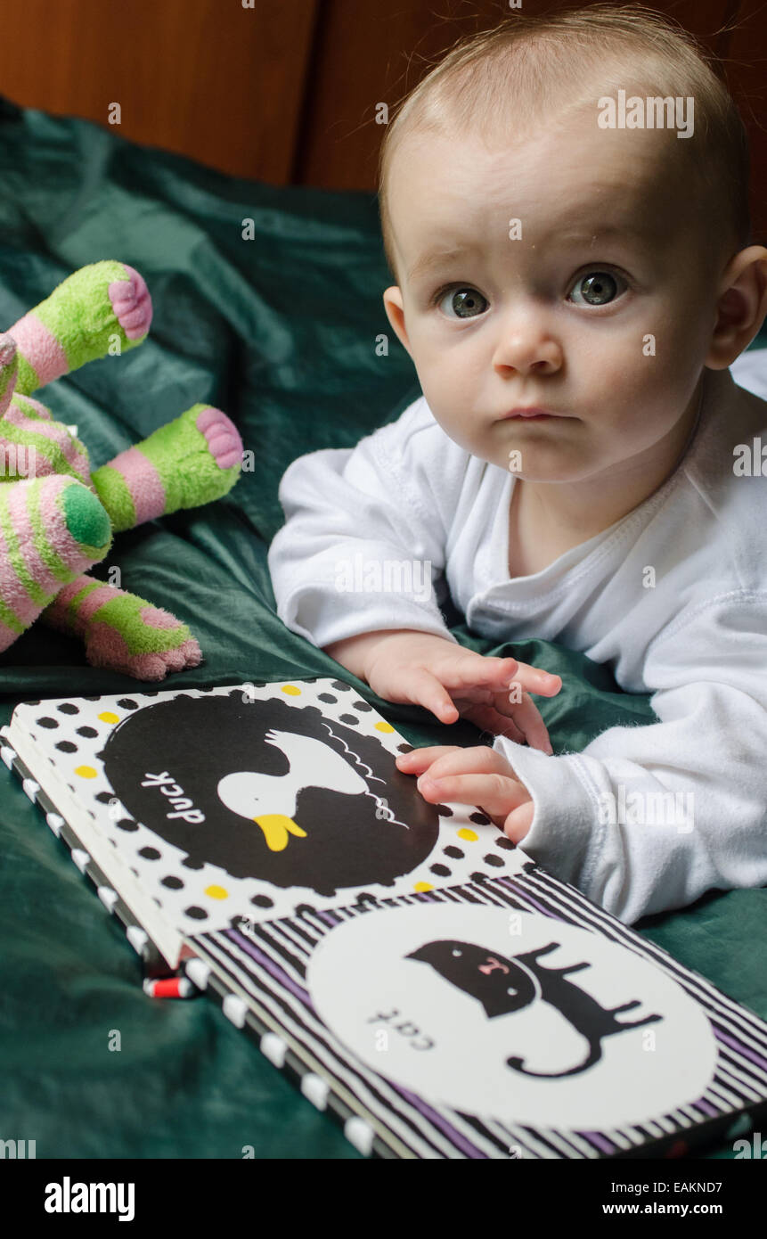 Ein kleines Mädchen (ca. 7 Monate alt) liest eine Babys Buch. Stockfoto