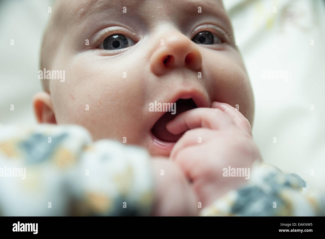 Ein kleines Mädchen (ca. 3 Monate alt) steckt ihre Finger in den Mund. Stockfoto