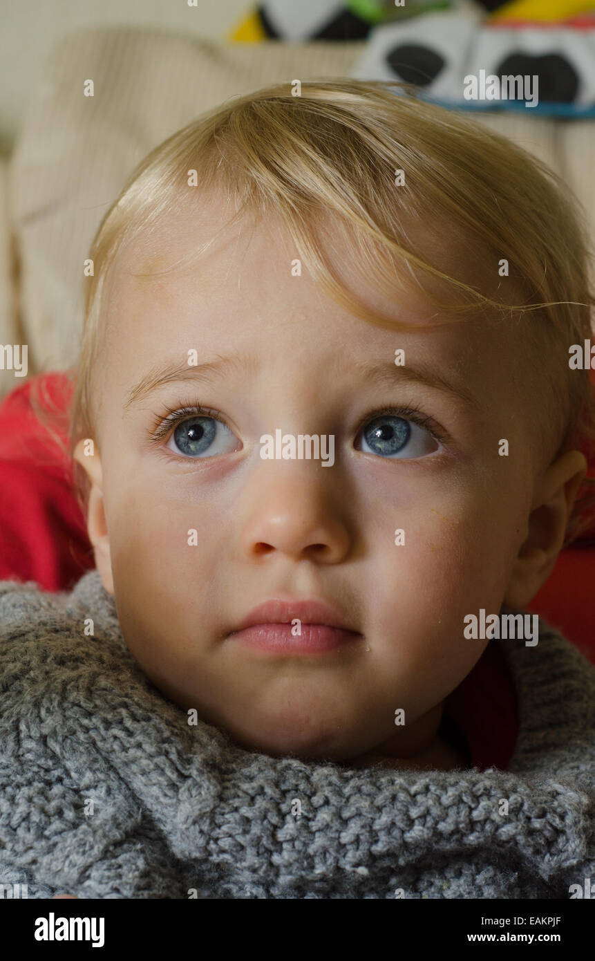 Ein blond und blauäugig Baby junge (ca. 18 Monate alt) in einem Strickpullover. Stockfoto