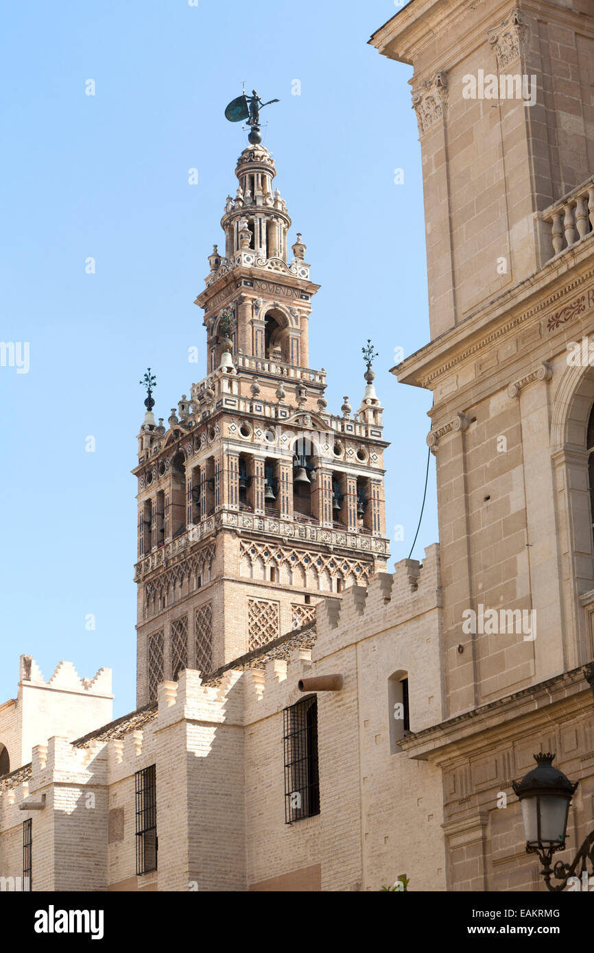 La Giralda Turm der Kathedrale, die ursprünglich als eine maurische Minarett im zwölften Jahrhundert, Sevilla, Spanien Stockfoto