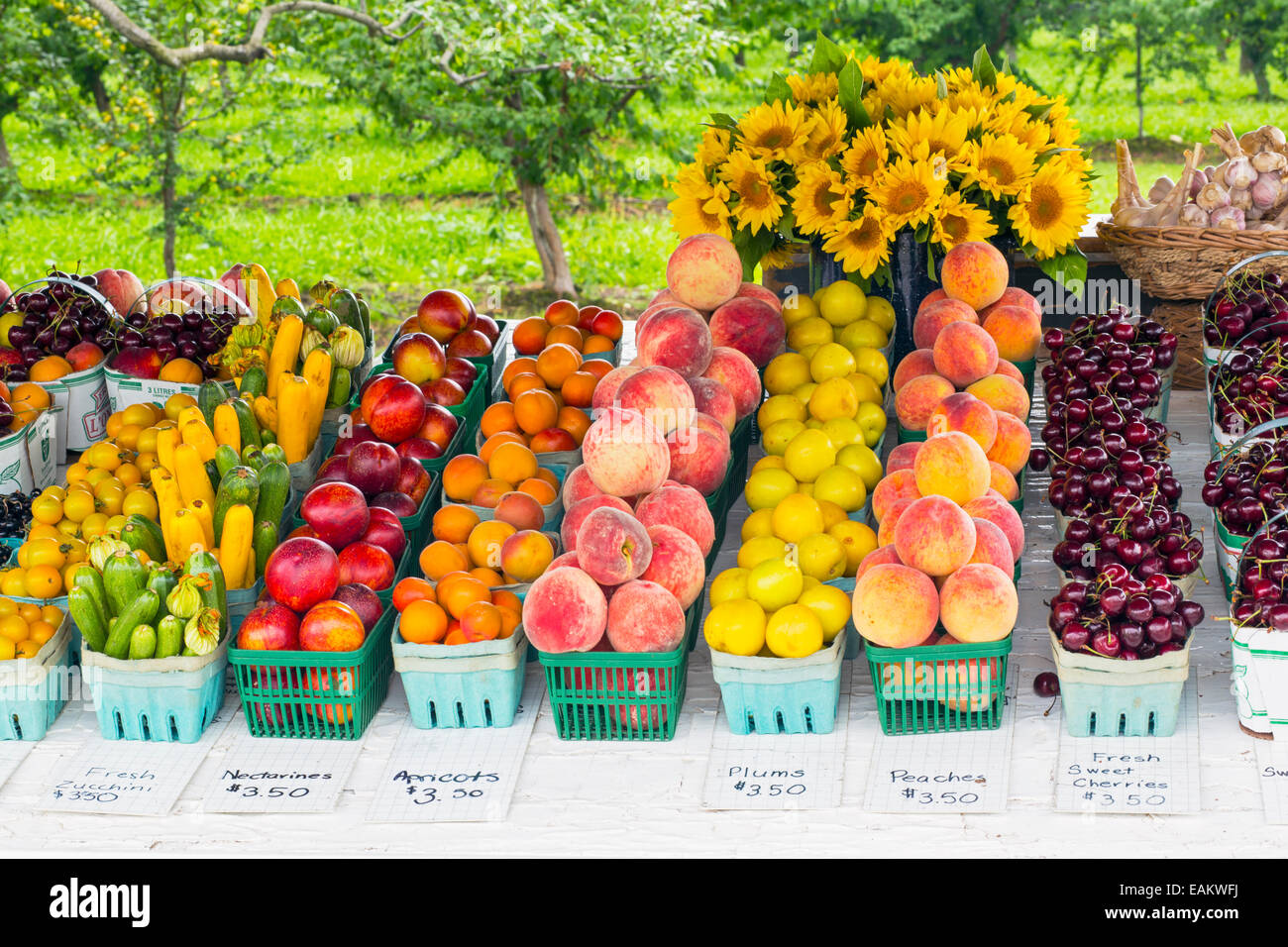 Kanada, Ontario, Niagara-on-the-Lake, frisches Obst und Gemüse auf Anzeige an einer Straße stehen Seite Stockfoto