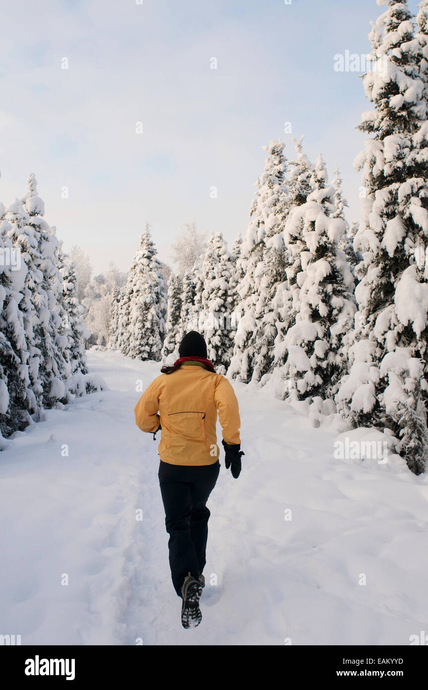 Frau Trailrunning durch den Schnee In-10 F Wetter in der Nähe von Anchorage, Alaska Stockfoto