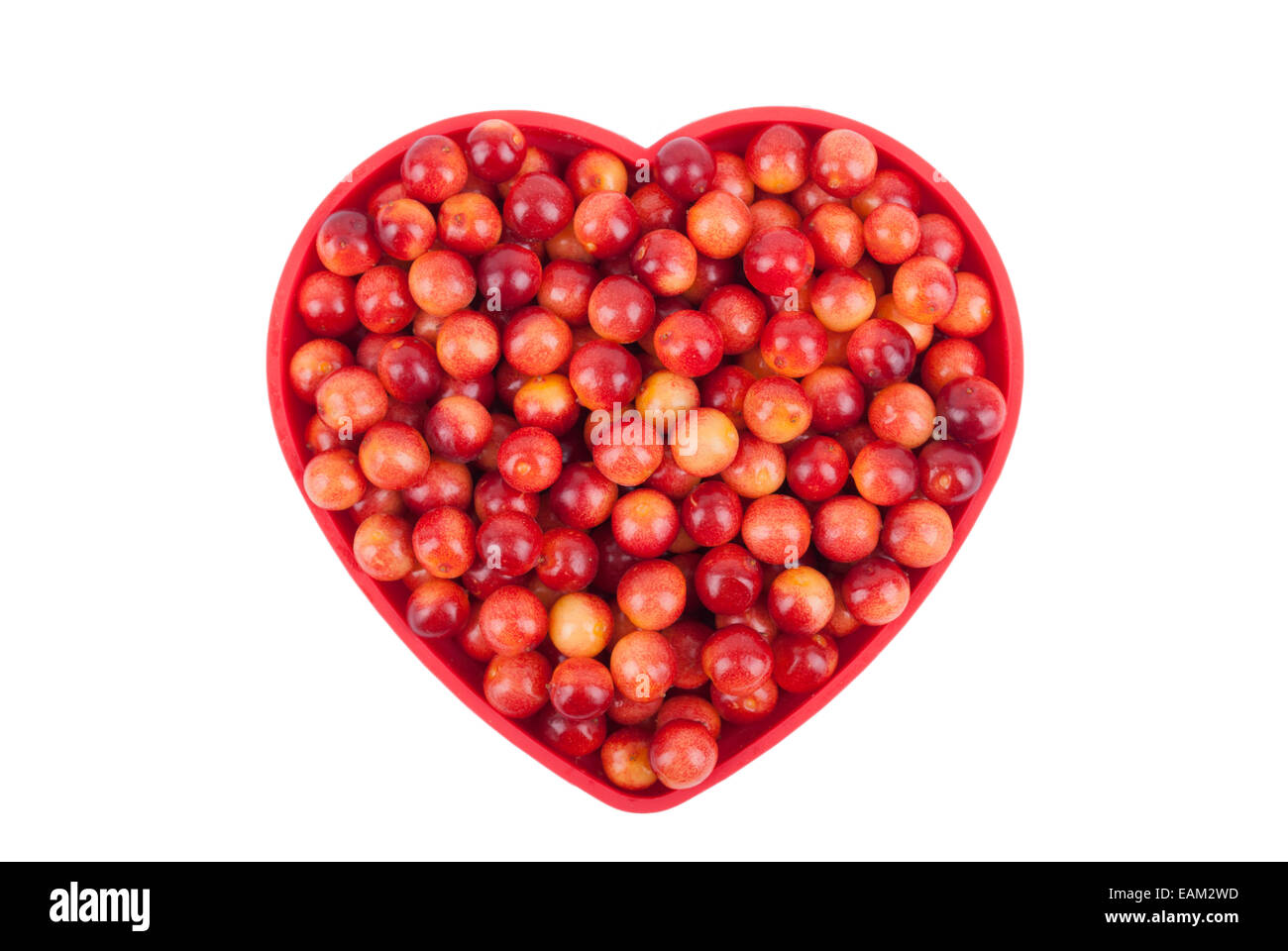 Viburnum Beeren in einer Schüssel isoliert auf weißem Hintergrund. Stockfoto