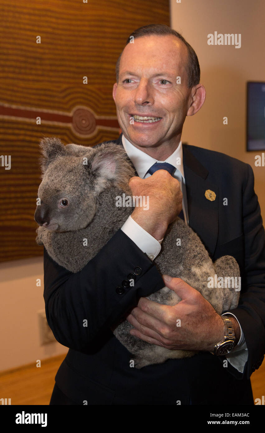 Australischer Premierminister Tony Abbott hält Jimbelung der Koala vor Beginn des G20-Staats-und Regierungschefs Gipfel 15. November 2014 in Brisbane, Australien. Stockfoto