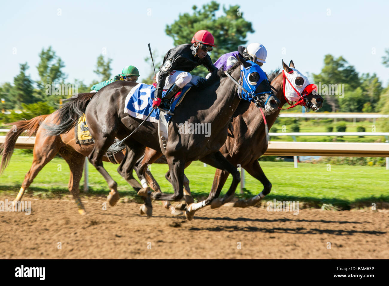 Kanada, Ontario, Fort Erie, Fort Erie Race Track, Pferderennen Stockfoto