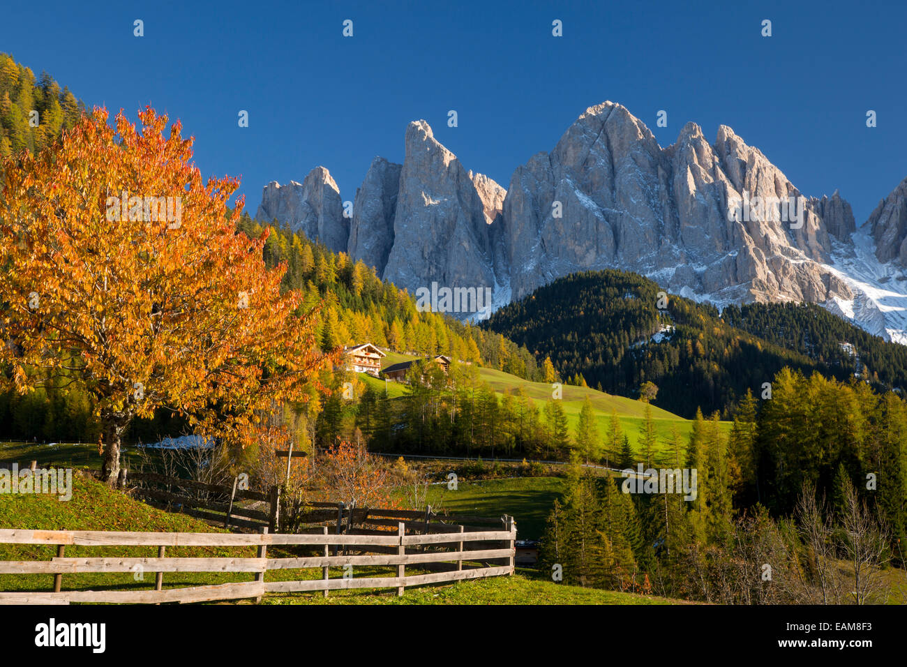 Herbstliche Ansicht unterhalb der Geisler Spitzen, Dolomiten, Val di Funes, Trentino-Alto-Adige, Italien Stockfoto