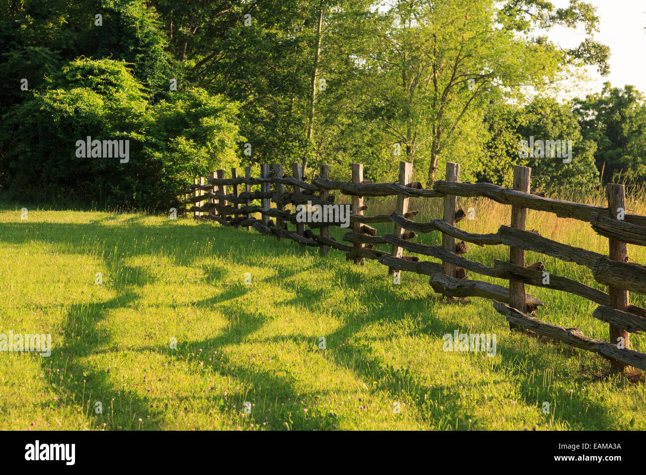 Ackerland in der Nähe von heißen Quellen, Bad Land, Virginia, USA Stockfoto