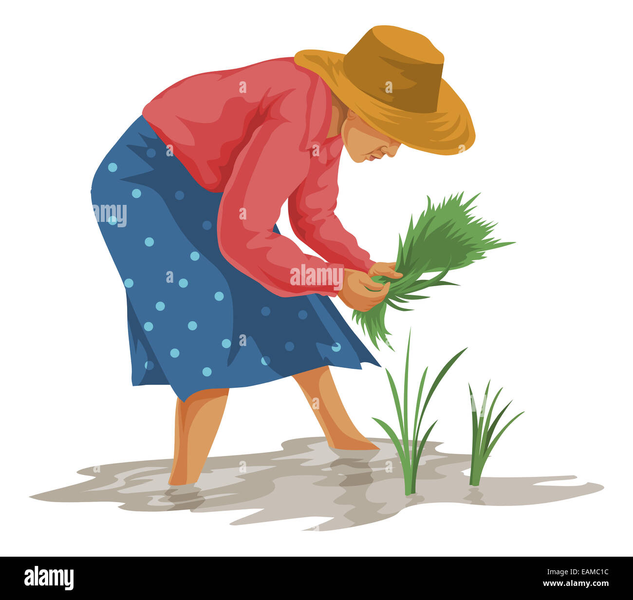 Vektor-Illustration von Frau zupfen Gemüse in Hof. Stockfoto