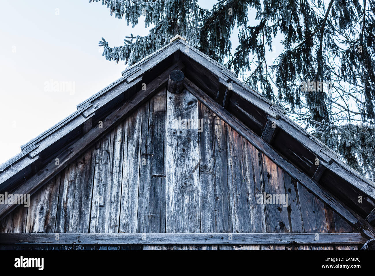 Detail einer abgelegenen und isolierten gefrorenen Hütte in den Wäldern im winter Stockfoto