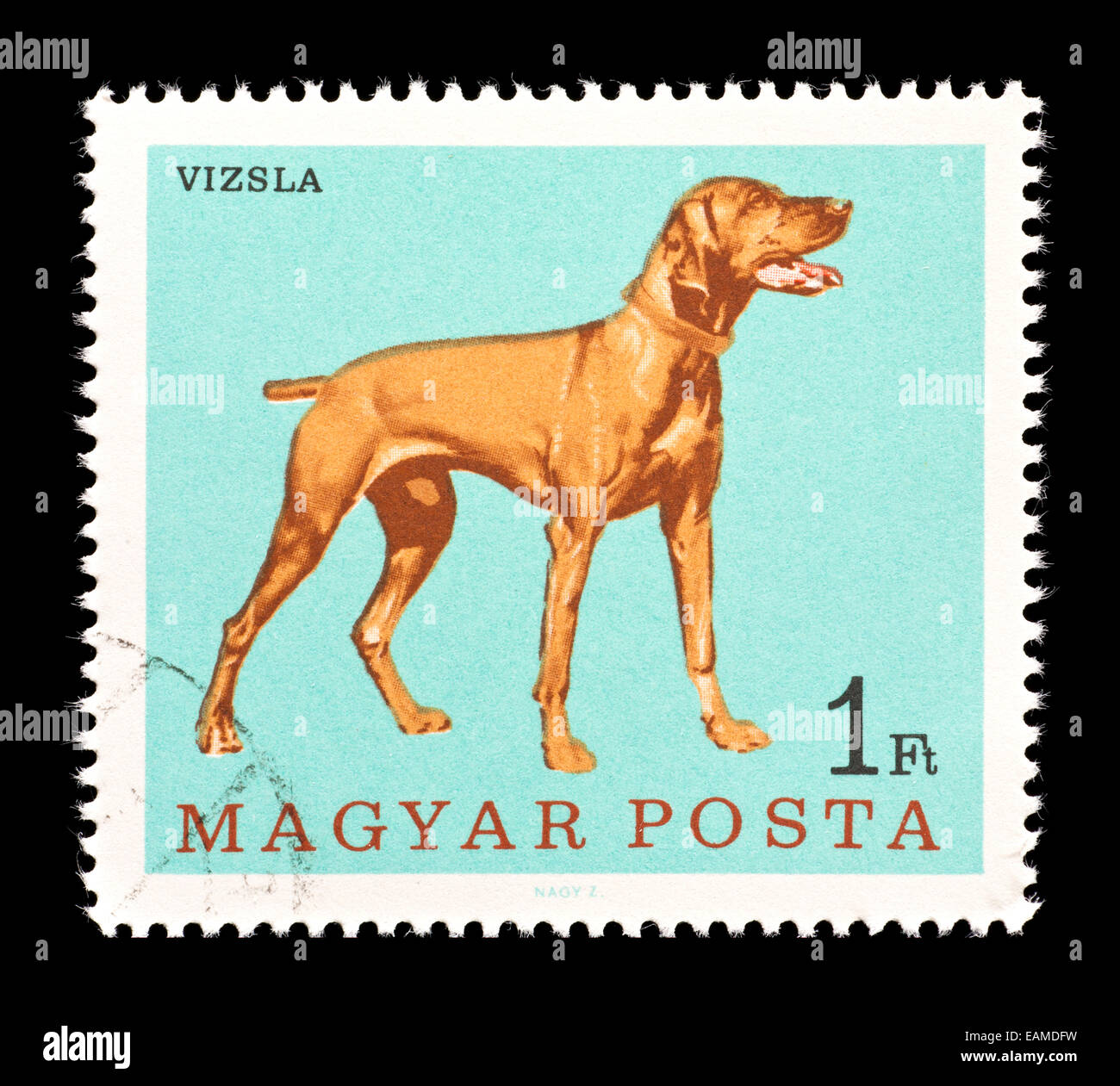 Briefmarke aus Ungarn mit einem ungarischen Pointer Hund. Stockfoto