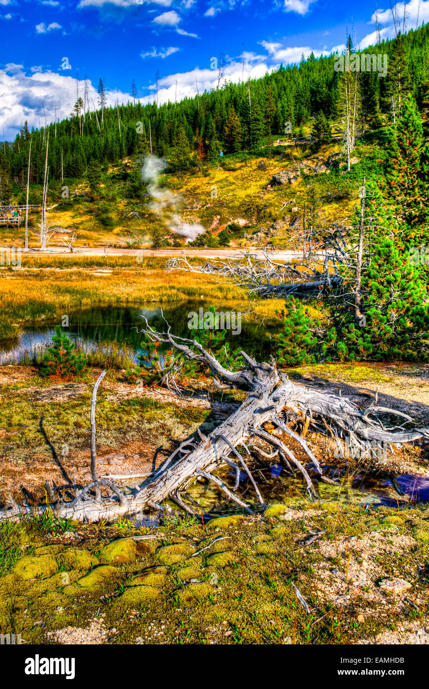 Malerische Landschaften geothermische Aktivität des Yellowstone-Nationalparks USA, Mammut Paintpots Stockfoto