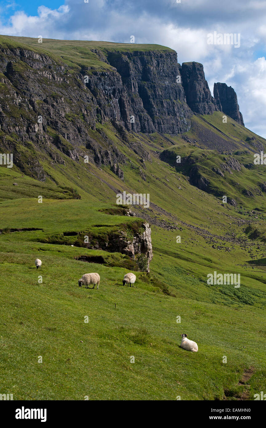 Quiraing Berglandschaft der Trotternish Ridge auf der Isle Of Skye. Inneren Hebriden. Schottland, Vereinigtes Königreich Stockfoto