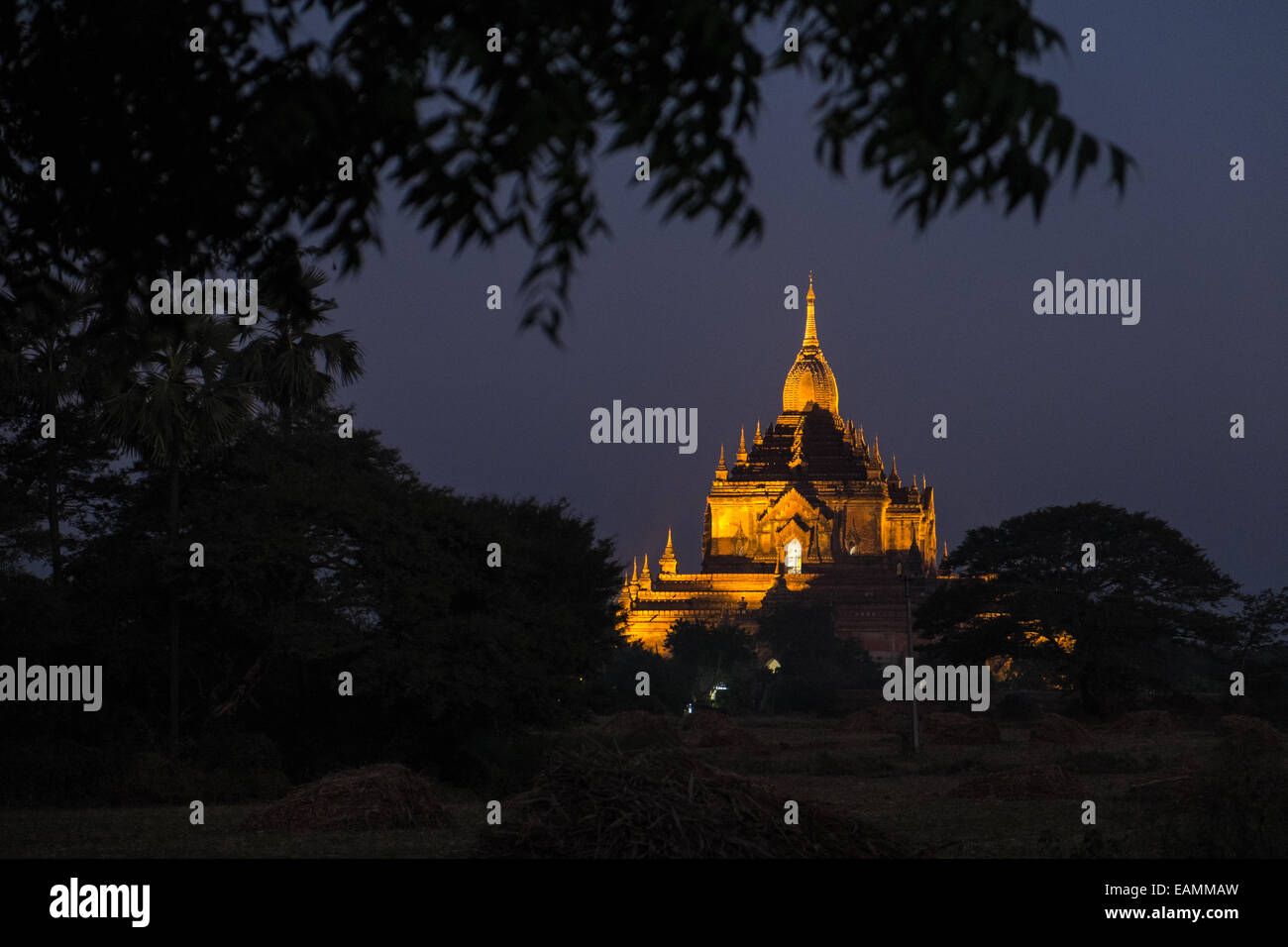 Heide/Bagan-Tempel in der Nacht beleuchtet. Burma, Myanmar, Südostasien, Asien, Stockfoto