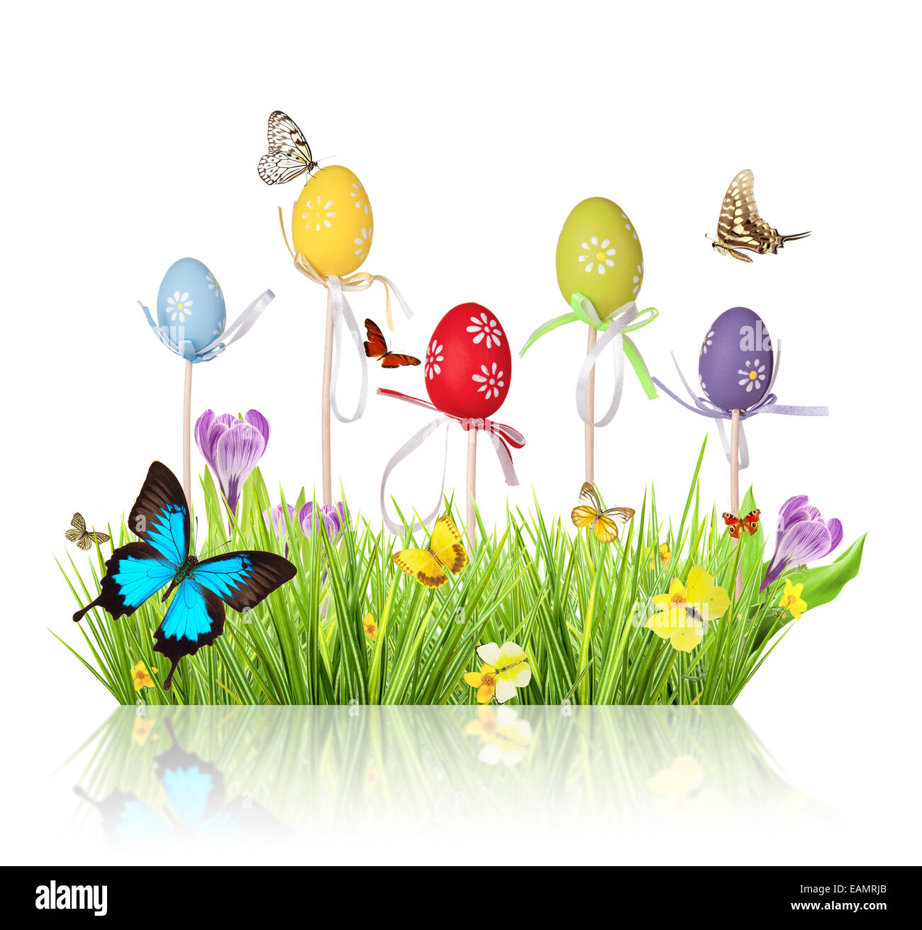 Ostern gefärbte Eiern in Rasen, isoliert auf weißem Hintergrund Stockfoto