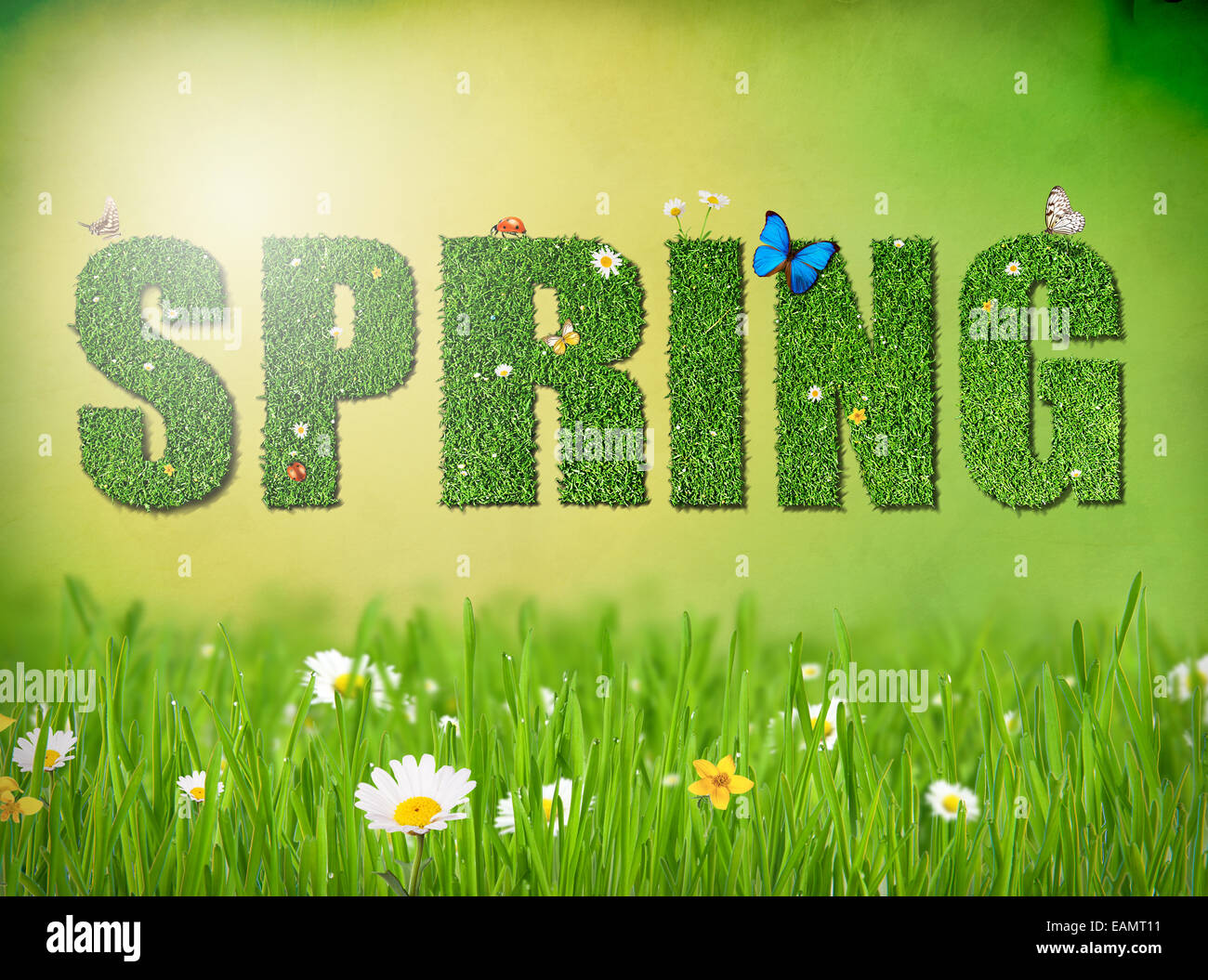Frühling-Konzept des Wortes "Frühling" mit Blumen, Schmetterlingen und Kaninchen Stockfoto