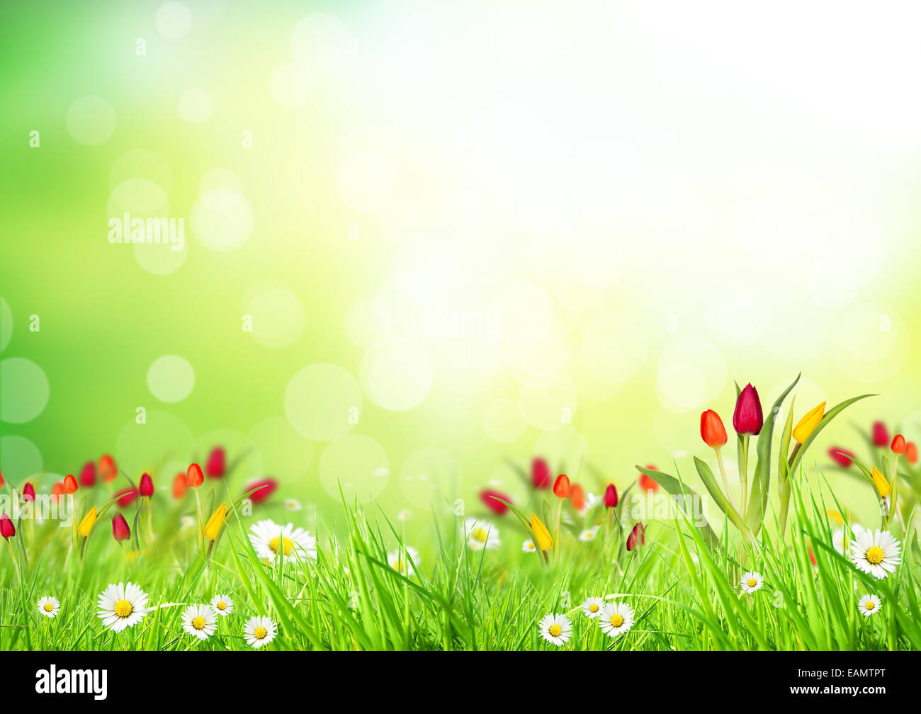 Abstrakte Blumen Hintergrund mit freiem Speicherplatz für text Stockfoto