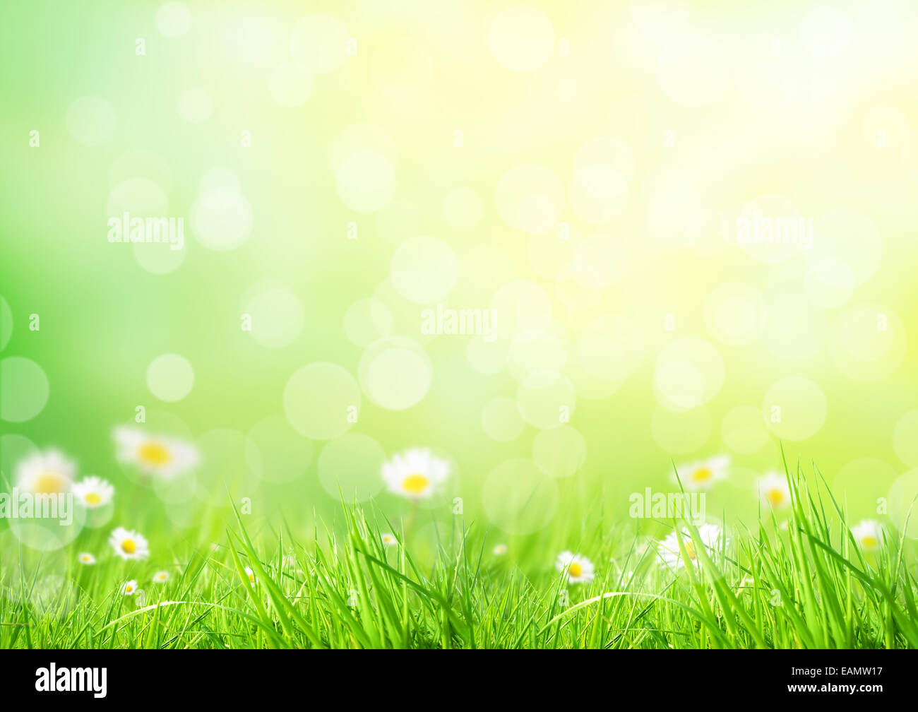 Abstrakte Blumen Hintergrund mit freiem Speicherplatz für text Stockfoto