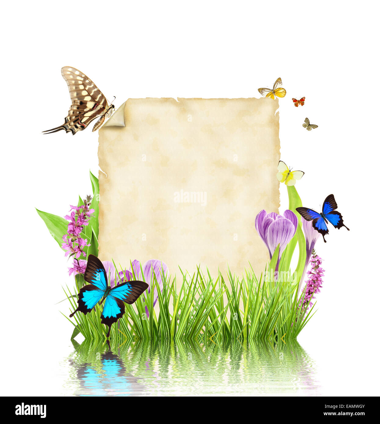 Konzept des Frühlings mit leerem Papier für Text. isoliert auf weißem Hintergrund Stockfoto