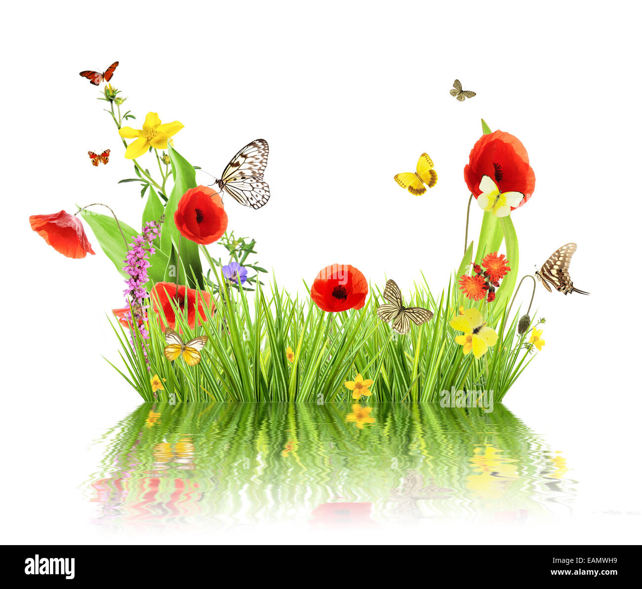 Konzept des Frühlings mit Wiese und Wasser Reflexion. isoliert auf weißem Hintergrund Stockfoto