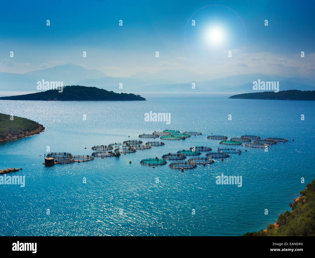 Fischzucht vor der Küste Griechenlands Stockfoto