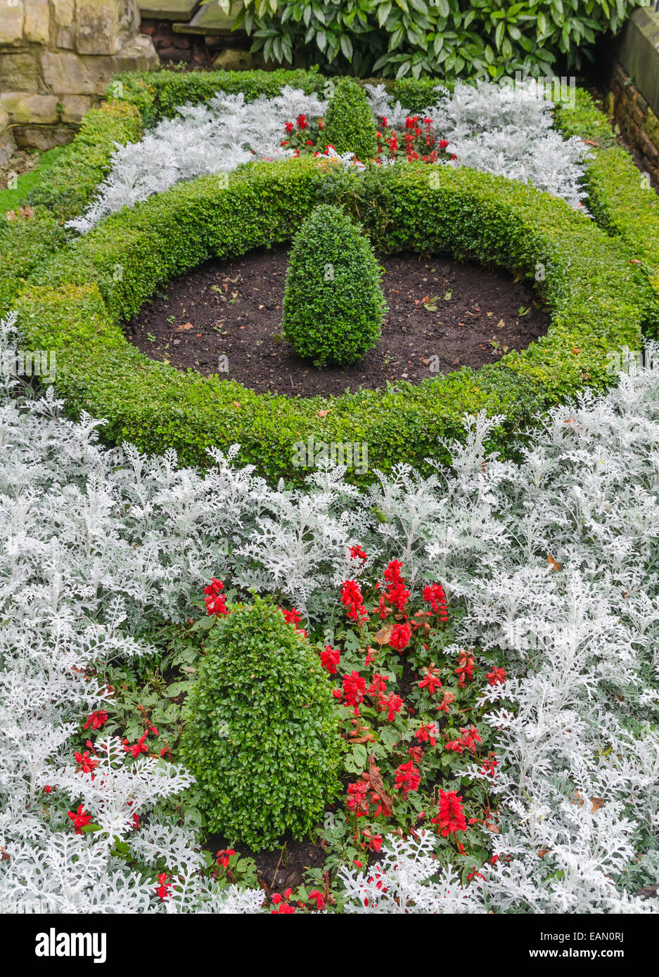 Box Hedge-Kreis Stockfoto