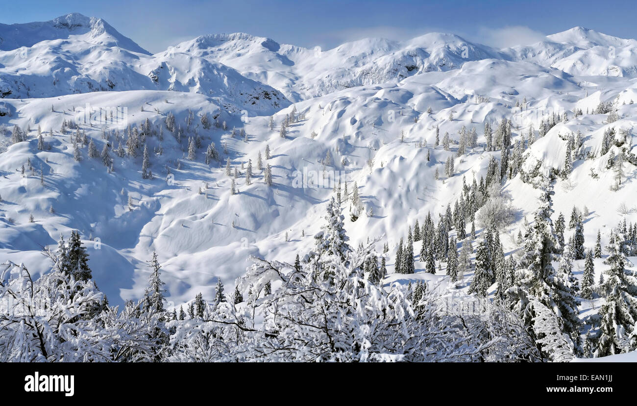 Schnee-Winterlandschaft in den Julischen Alpen in Slowenien - Podrta Gora. Stockfoto