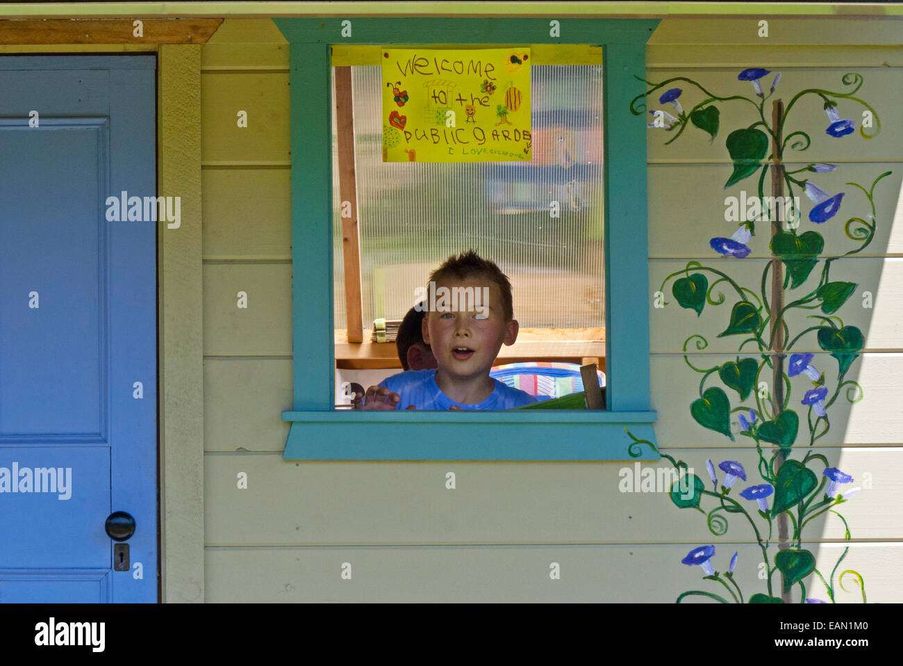 9-jähriger Junge im Fenster der Halle auf Gemeinschaftsebene Garten, Yarmouth ME Stockfoto