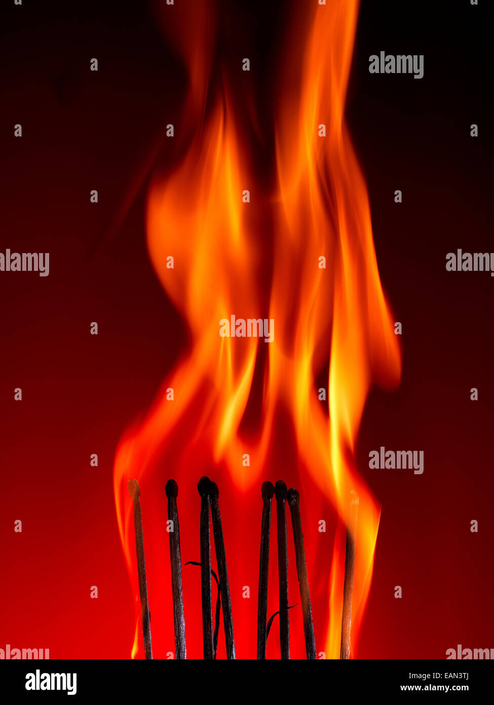 Makroaufnahme einer brennenden Streichholz auf rotem Grund Stockfoto