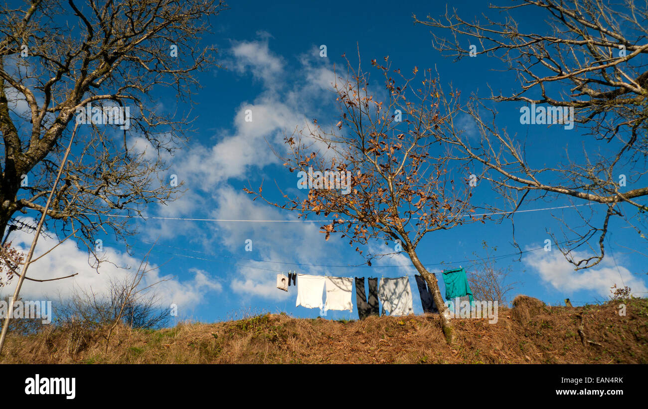 Carmarthenshire, Wales, UK. 18. November 2014. Ein guter Tag für das Aufhängen der Wäsche in der Herbstsonne in Carmarthenshire Wales UK.  Blauer Himmel und ungewöhnlich warmen Wetter für November überwiegen heute im Westen von Wales. Bildnachweis: Kathy DeWitt/Alamy Live-Nachrichten Stockfoto