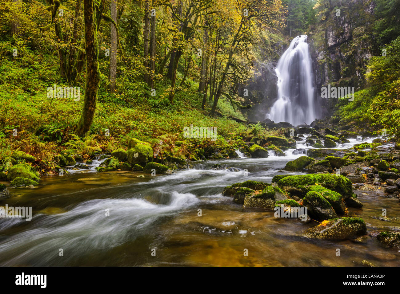 North Fork fällt, North Fork Smith River; Kentucky fällt weg, Oregon Coast Range Mountains. Stockfoto