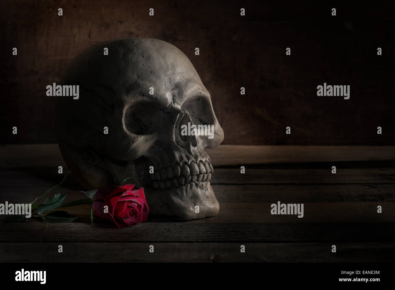Totenkopf mit roter Rose: Day Of The Dead Stockfoto