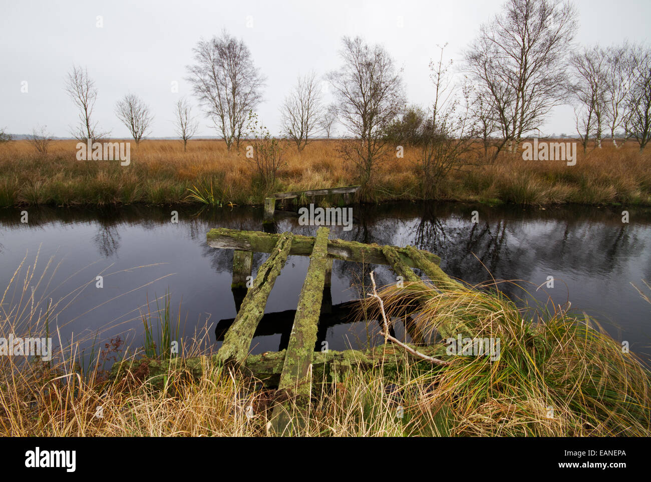 Ruine einer vergessenen Holzbrücke Stockfoto