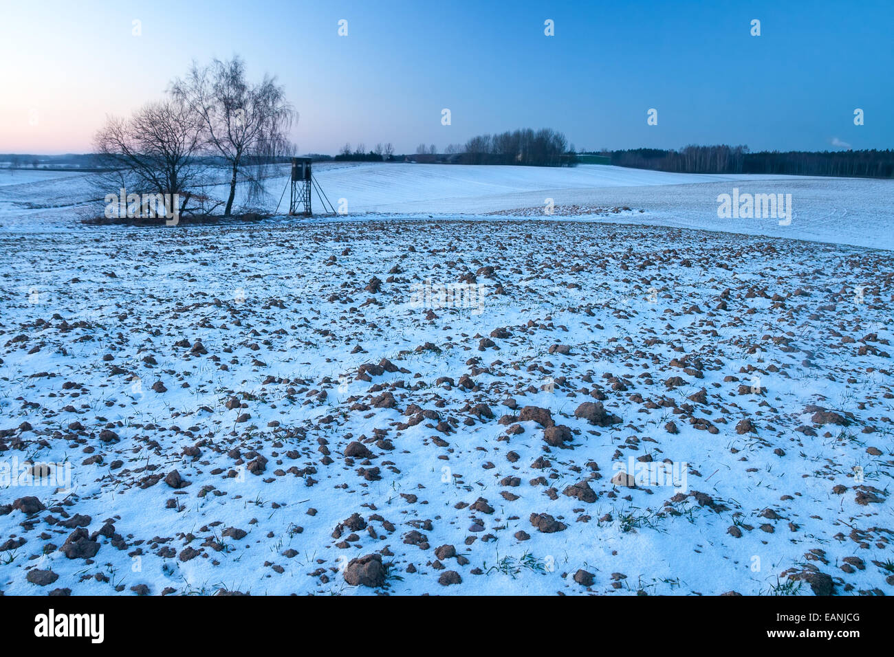 Winter-Feld bei Sonnenuntergang Landschaft Stockfoto