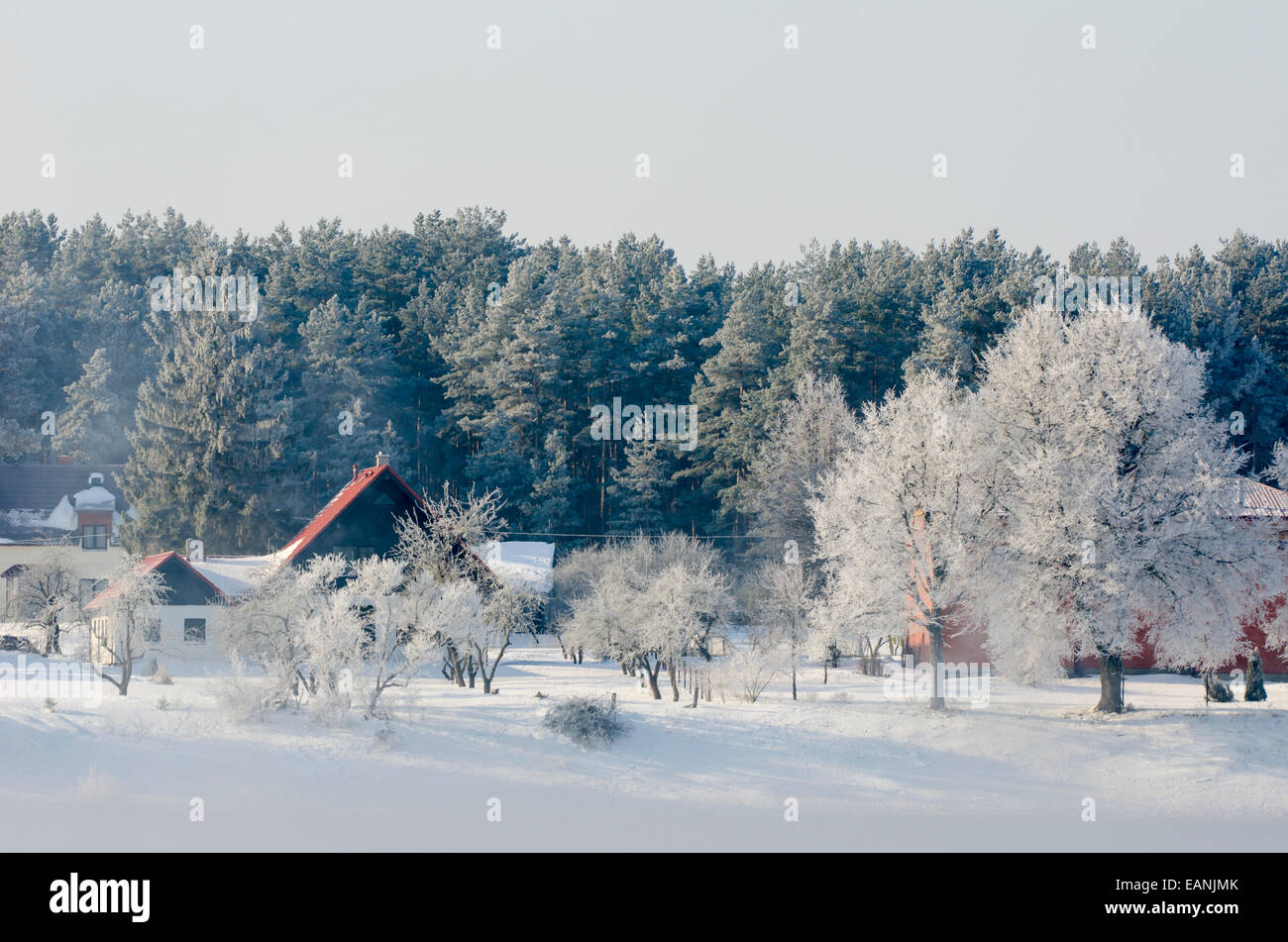 Winterlandschaft von Lettland Stockfoto