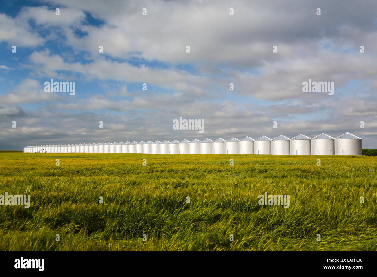 Eine lange Reihe von Korn Lagerplätze in der Nähe von Kreml, Montana, USA. Stockfoto