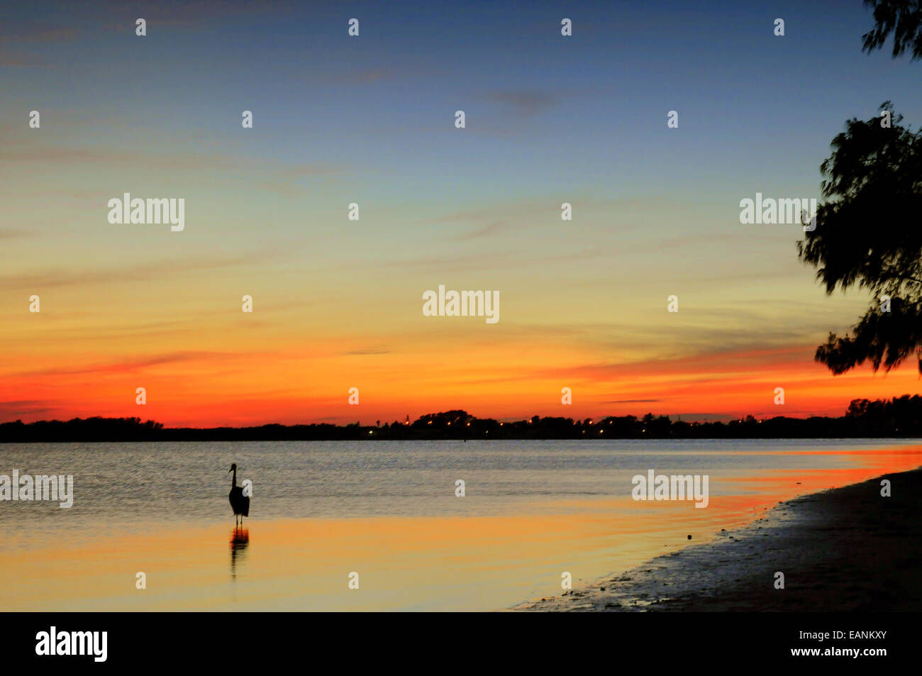 Anna Maria, Florida, USA... 18 November 2014..Clearing Himmel bei Sonnenuntergang über Anna Maria Island... Temperatur fällt schnell da die Kaltfront nähert... Derzeit 52 F mit Frostgefahr in den nördlichen Grafschaften... David Burr/Alamy Live-Nachrichten Stockfoto