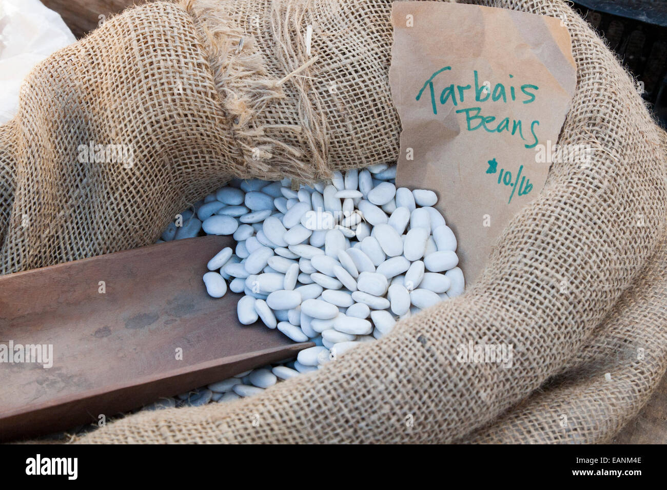 Tarbais Bohnen an der Berkeley, Bauernmarkt. Stockfoto