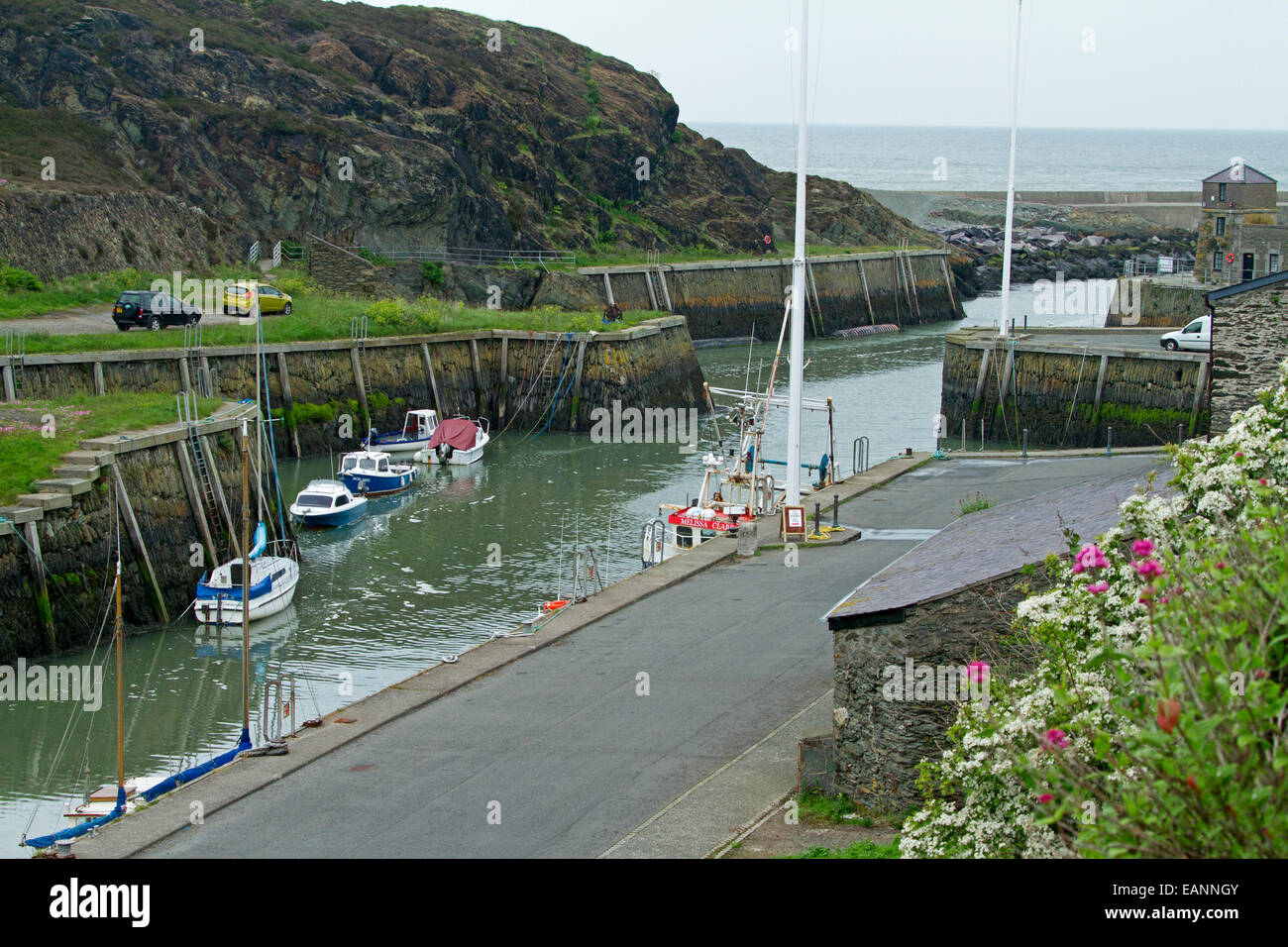 Kleinen und geschützten historischen Hafen von Porth Amlwch mit bunten Wildblumen auf grasbewachsenen Hang & Boote auf ruhigem Wasser Stockfoto
