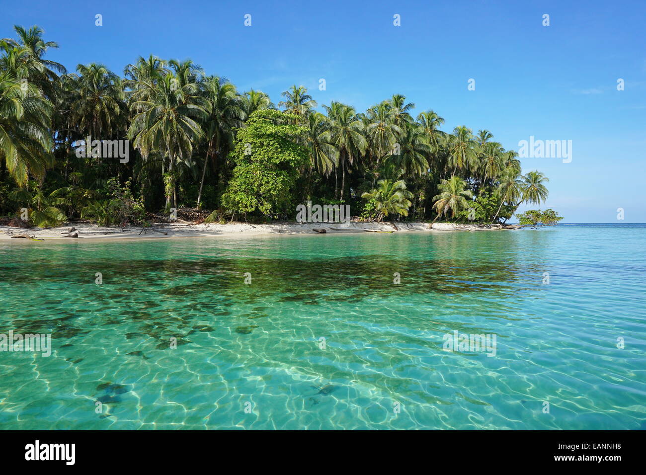Unberührte karibische Insel mit üppiger Vegetation in den marine Park Bastimentos, Cayos Zapatilla, Bocas del Toro, Panama Stockfoto