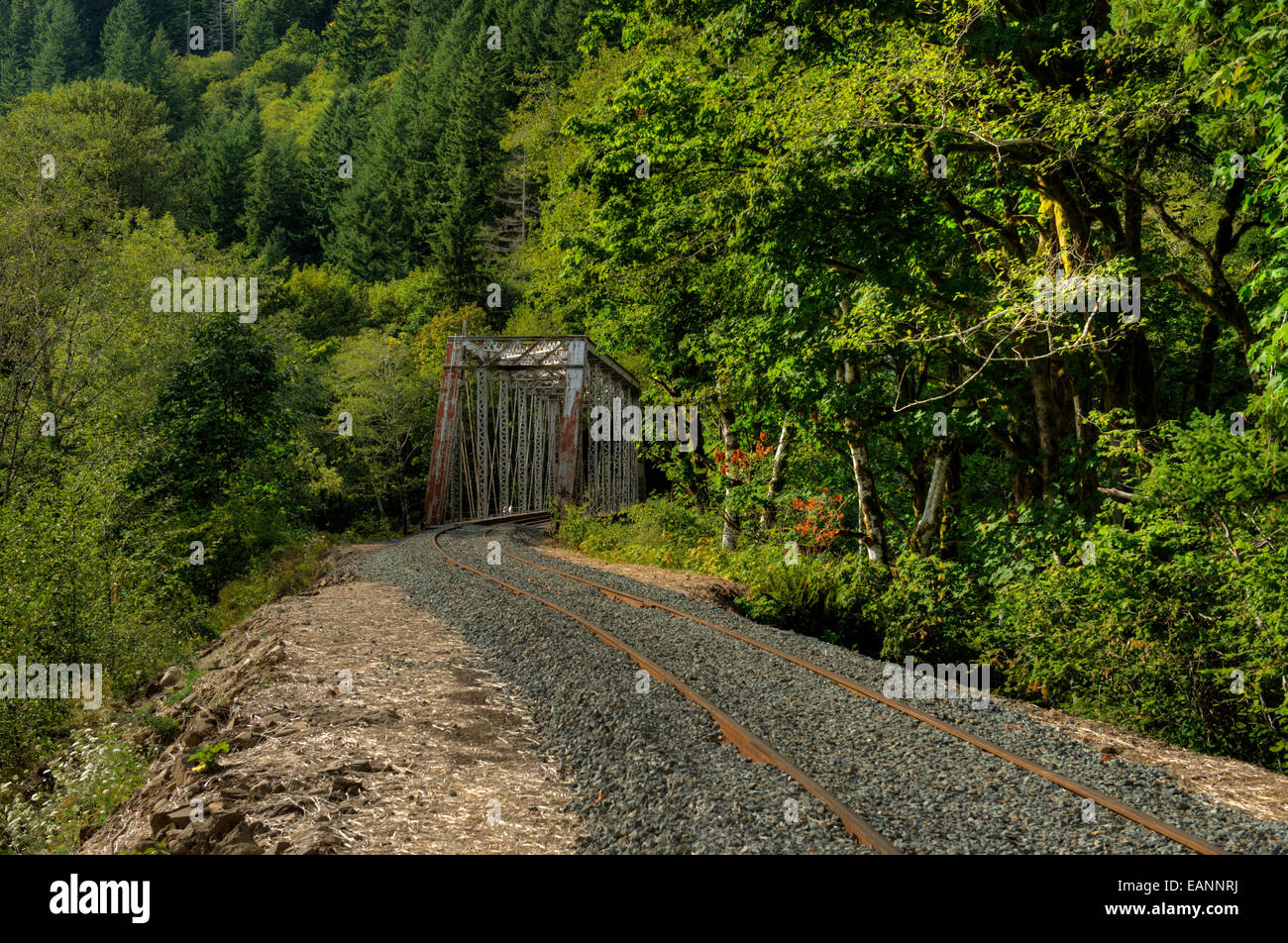 Den alten Hafen von Tillamook Bay Railroad Brücke über den Nehalem River bei Brombeervogel Stockfoto