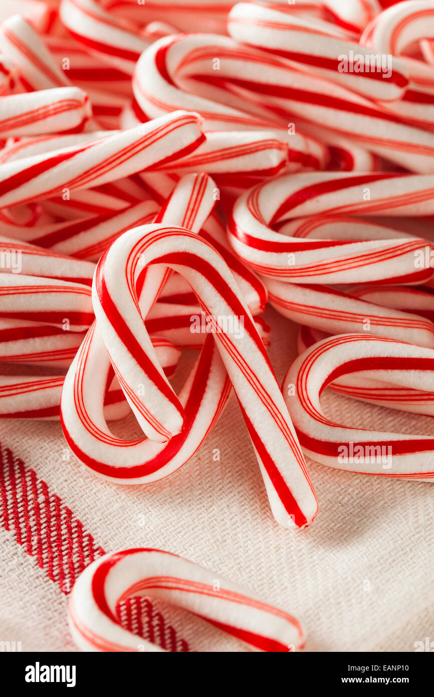 Rote und weiße Mini Candy Stöcke für Weihnachten Stockfoto